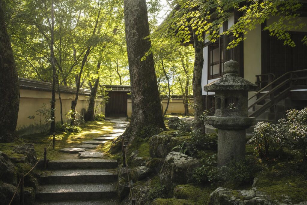 木漏れ日の差す静かな供養の庭と石灯籠