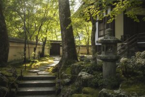 木漏れ日の差す静かな供養の庭と石灯籠