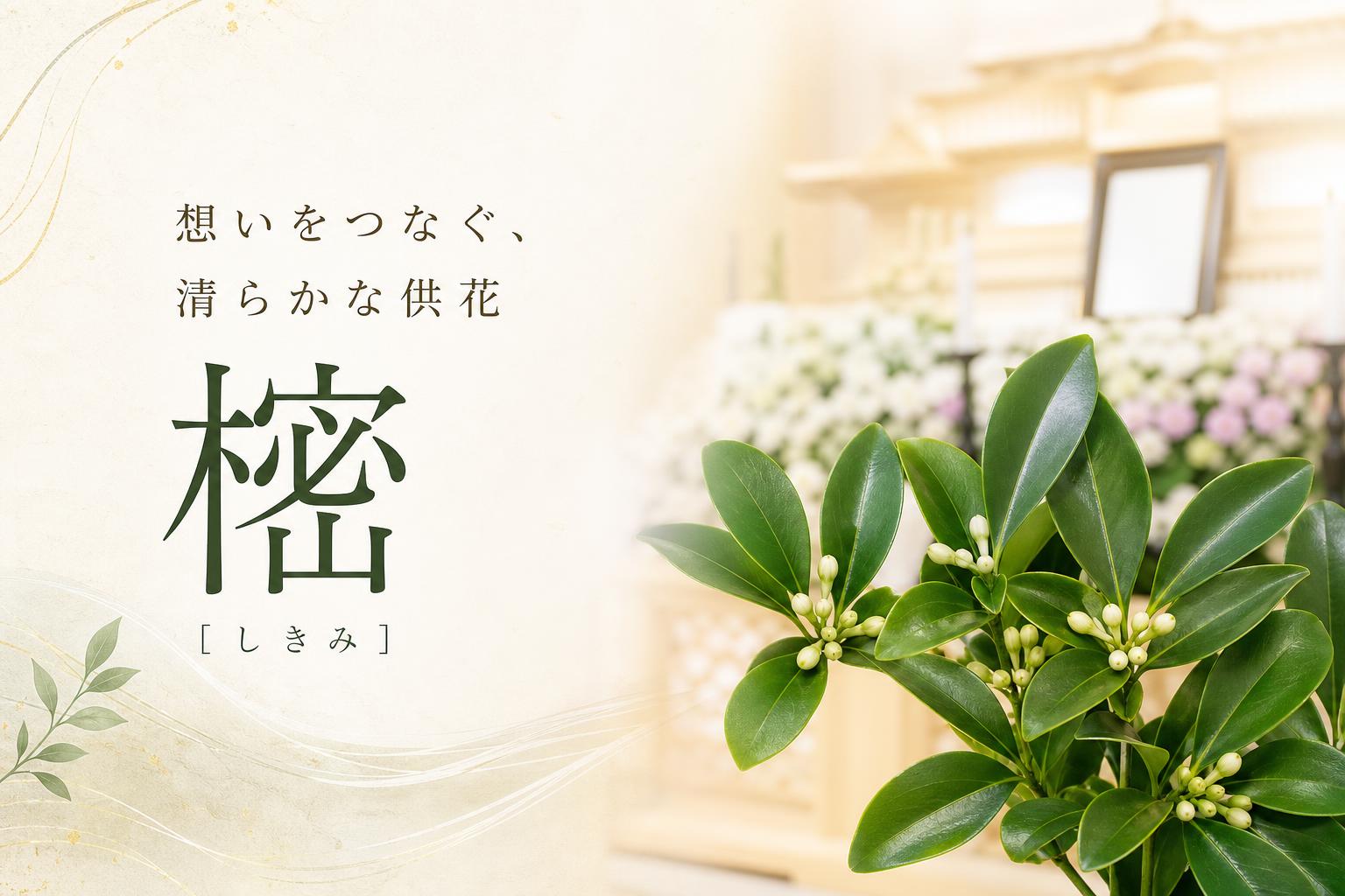 樒(しきみ)